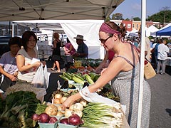 [photo, Waverly Farmers' Market, 32nd St. and Barclay St., Baltimore, Maryland]