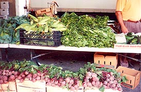  [photo, Cabbage, corn, and beets, Baltimore Farmers' Market, Holliday St. and Saratoga St., Baltimore, Maryland]